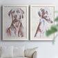 Set of two white barnwood framed canvas prints depicting soft brown and gray fur, expressive faces, and lightly distressed cream grounds arranged across two complementary compositions above a sofa in a bright living space.