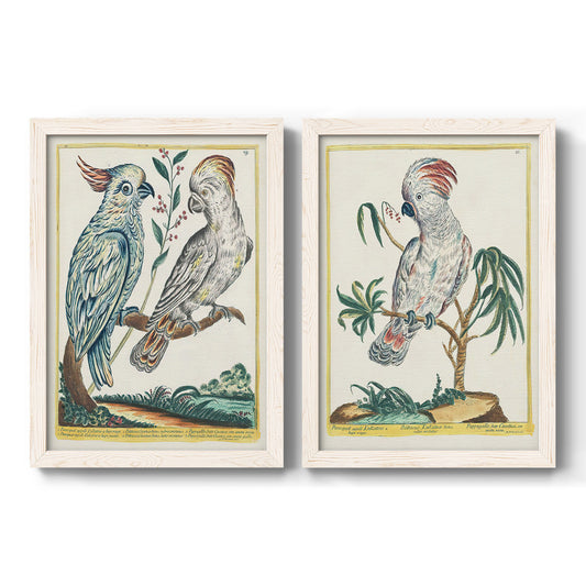 Set of two white barnwood framed canvas prints featuring two atmospheric abstract paintings featuring misty blue gray and violet marks hovering across pale grounds.