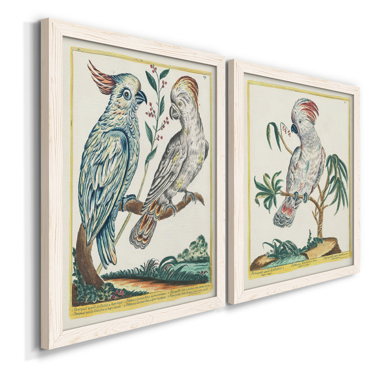Angled view of a set of two white barnwood framed canvas prints featuring two atmospheric abstract paintings featuring misty blue gray and violet marks hovering across pale grounds.