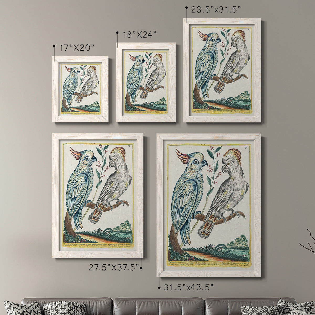Size comparison chart for a set of two white barnwood framed canvas prints.