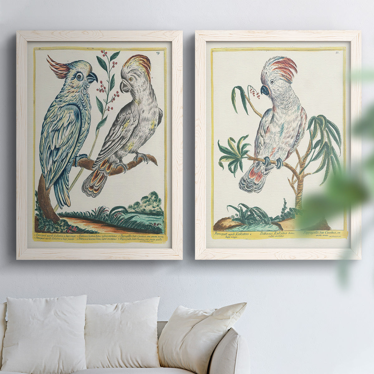 Set of two white barnwood framed canvas prints depicting soft clustered strokes, hazy edges, and spacious white fields arranged across two complementary compositions above a sofa in a bright living space.