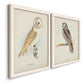 Angled view of a set of two white barnwood framed canvas prints featuring two antique bird plate illustrations featuring vintage owl specimens perched in natural settings.