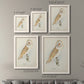 Size comparison chart for a set of two white barnwood framed canvas prints.