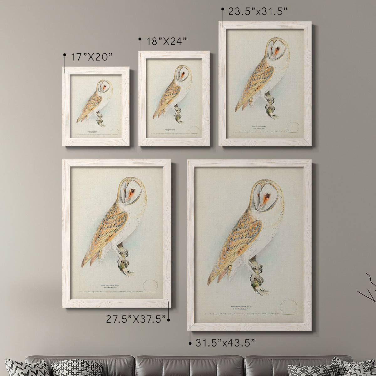 Size comparison chart for a set of two white barnwood framed canvas prints.