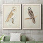 Set of two white barnwood framed canvas prints depicting a coordinated art pair of vintage owl specimens perched in natural settings rendered as antique bird plate illustrations above a sofa in a modern living room.