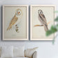 Set of two white barnwood framed canvas prints depicting detailed feathers, branches, pale paper, and natural-history labels arranged across two complementary compositions above a sofa in a bright living space.