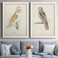 Set of two white barnwood framed canvas prints depicting paired antique bird plate illustrations with detailed feathers, branches, pale paper, and natural-history labels above a sofa in a contemporary living room.