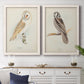 Set of two white barnwood framed canvas prints depicting a coordinated art pair of vintage owl specimens perched in natural settings rendered as antique bird plate illustrations above a dining room sideboard.