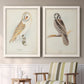 Set of two white barnwood framed canvas prints depicting two antique bird plate illustrations featuring vintage owl specimens perched in natural settings above a sideboard in a cozy sitting room.