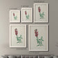 Size comparison chart for a set of two white barnwood framed canvas prints.