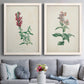 Set of two white barnwood framed canvas prints depicting paired archival flower studies in muted red pink green and cream tones above a sofa in a contemporary living room.