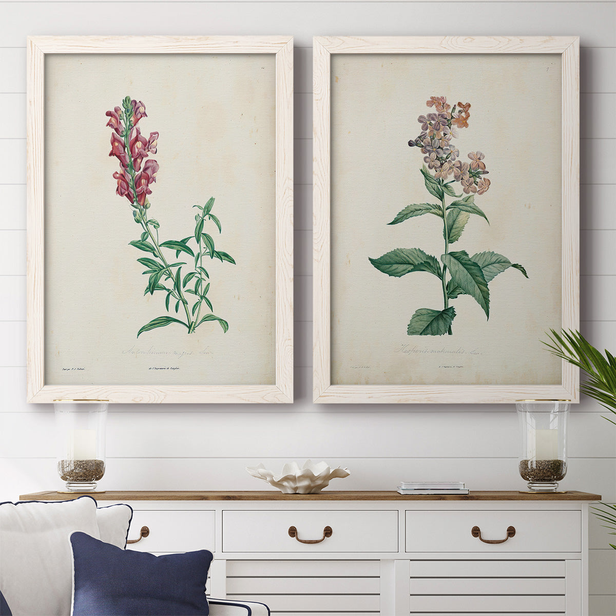 Set of two white barnwood framed canvas prints depicting antique floral illustrations featuring a tall red bloom and a clustered mauve flower above a dining room sideboard.