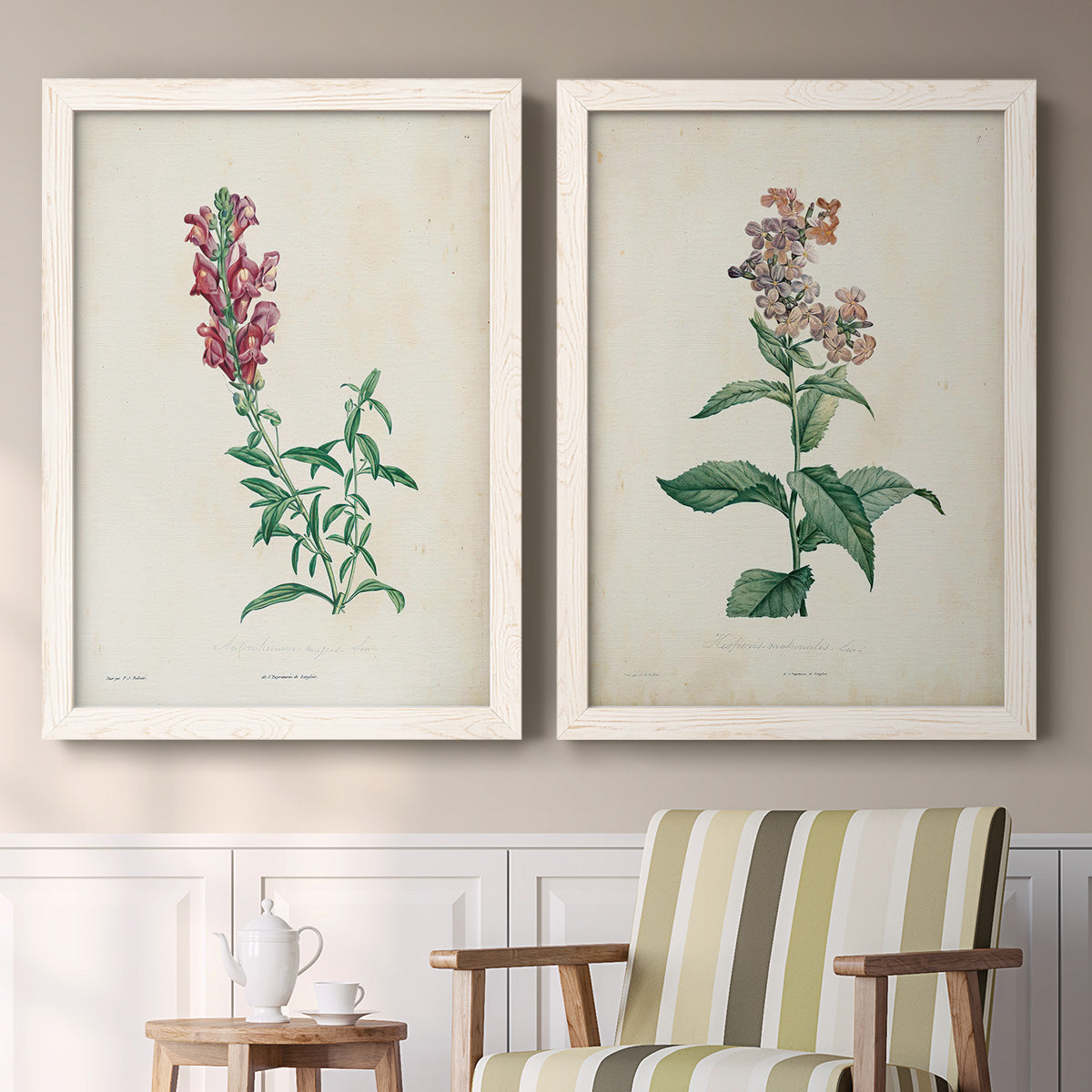 Set of two white barnwood framed canvas prints depicting two vintage botanical studies of flowering stems with detailed green leaves on aged cream paper above a sideboard in a cozy sitting room.