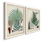 Angled view of a set of two white barnwood framed canvas prints featuring two natural-history fern plates featuring vintage fern specimens with botanical details.