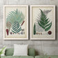 Set of two white barnwood framed canvas prints depicting a coordinated art pair of vintage fern specimens with botanical details rendered as natural-history fern plates above a sofa in a modern living room.