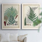 Set of two white barnwood framed canvas prints depicting varied green fronds, roots, spores, and archival labels arranged across two complementary compositions above a sofa in a bright living space.