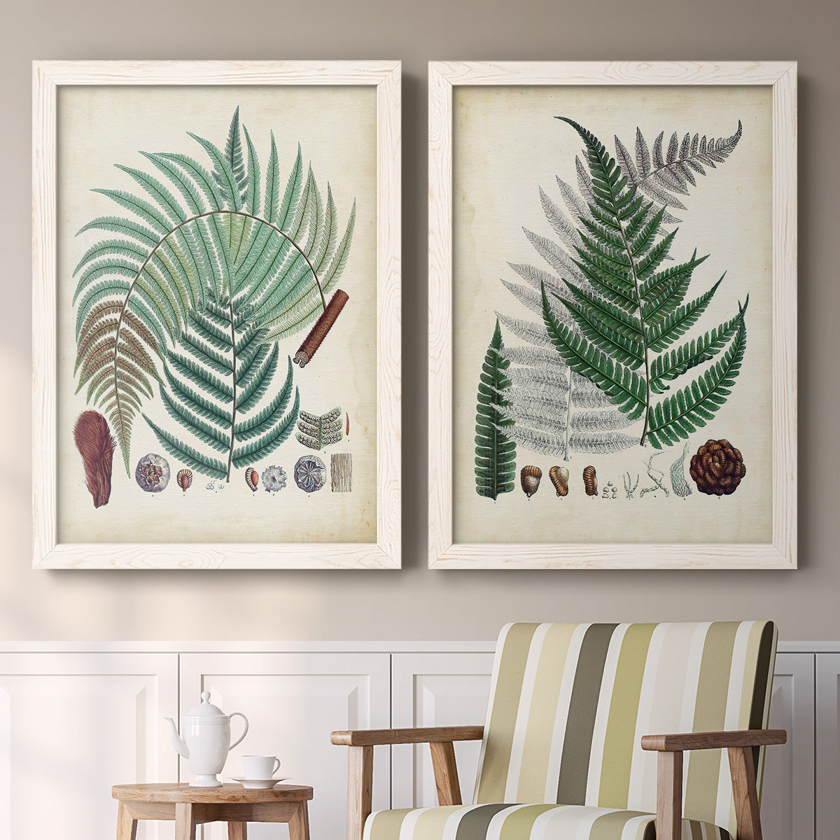 Set of two white barnwood framed canvas prints depicting two natural-history fern plates featuring vintage fern specimens with botanical details above a sideboard in a cozy sitting room.