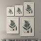Size comparison chart for a set of two white barnwood framed canvas prints.