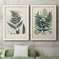 Set of two white barnwood framed canvas prints depicting a coordinated art pair of vintage fern specimens with botanical details rendered as natural-history fern plates above a sofa in a modern living room.