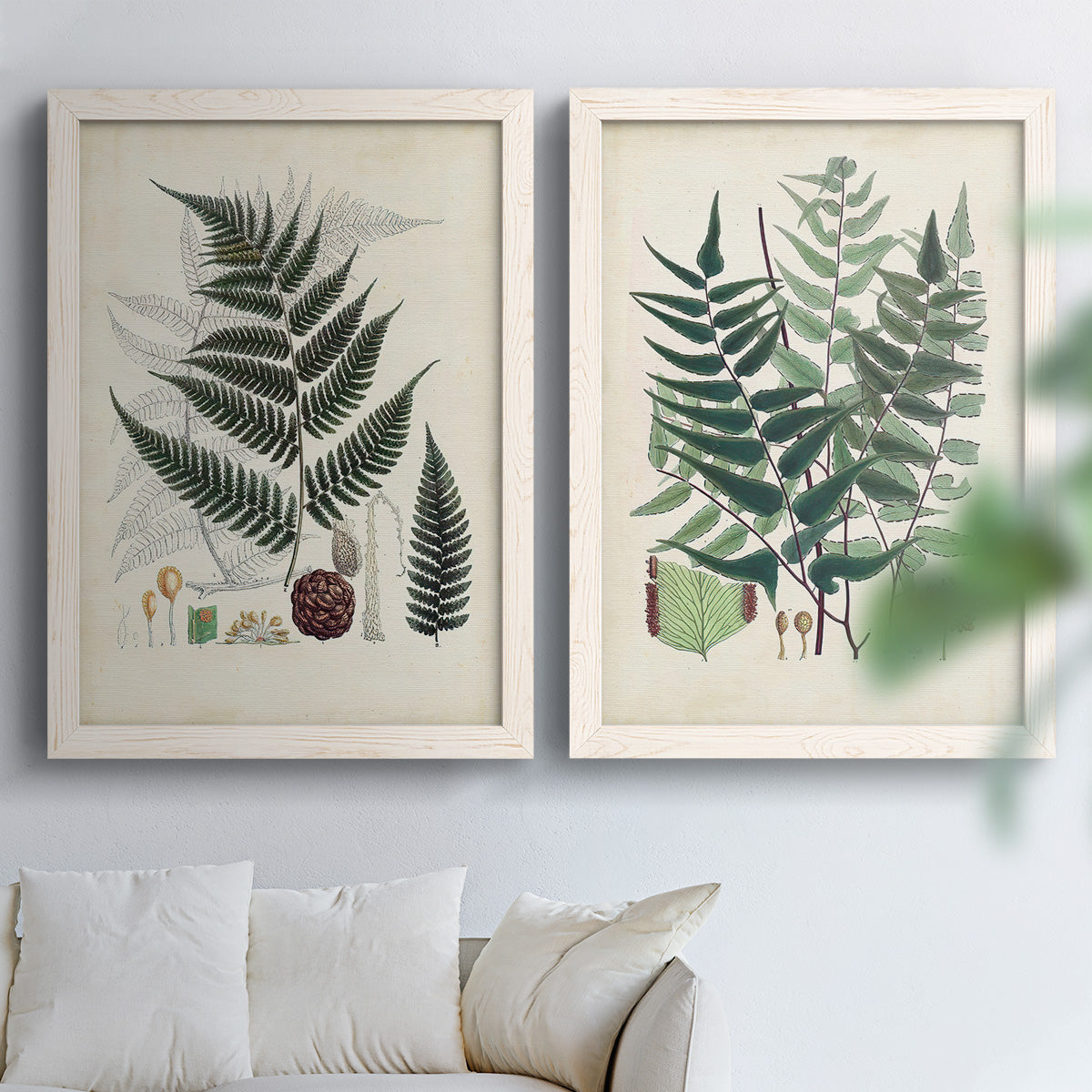 Set of two white barnwood framed canvas prints depicting varied green fronds, roots, spores, and archival labels arranged across two complementary compositions above a sofa in a bright living space.