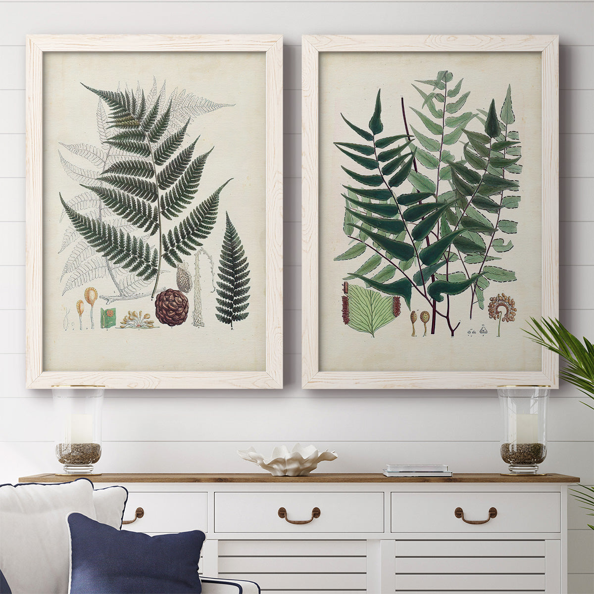 Set of two white barnwood framed canvas prints depicting a coordinated art pair of vintage fern specimens with botanical details rendered as natural-history fern plates above a dining room sideboard.