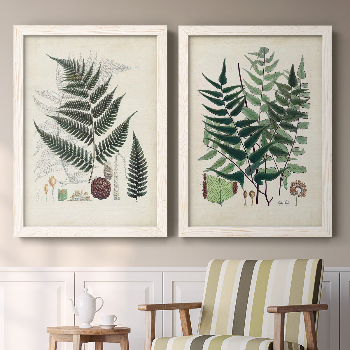 Set of two white barnwood framed canvas prints depicting two natural-history fern plates featuring vintage fern specimens with botanical details above a sideboard in a cozy sitting room.