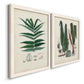 Angled view of a set of two white barnwood framed canvas prints featuring two natural-history fern plates featuring vintage fern specimens with botanical details.