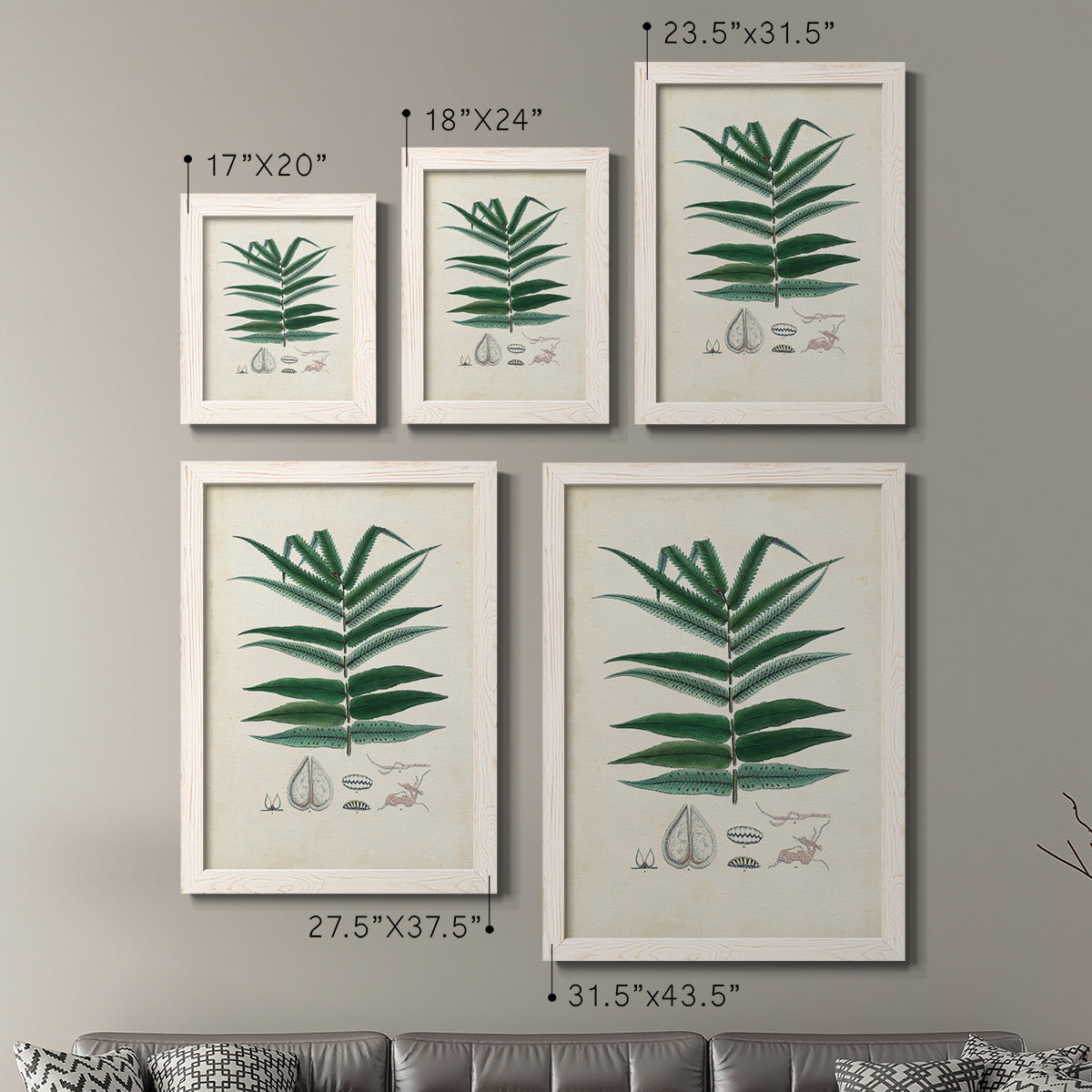 Size comparison chart for a set of two white barnwood framed canvas prints.