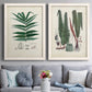 Set of two white barnwood framed canvas prints depicting paired natural-history fern plates with varied green fronds, roots, spores, and archival labels above a sofa in a contemporary living room.