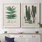 Set of two white barnwood framed canvas prints depicting a coordinated art pair of vintage fern specimens with botanical details rendered as natural-history fern plates above a dining room sideboard.