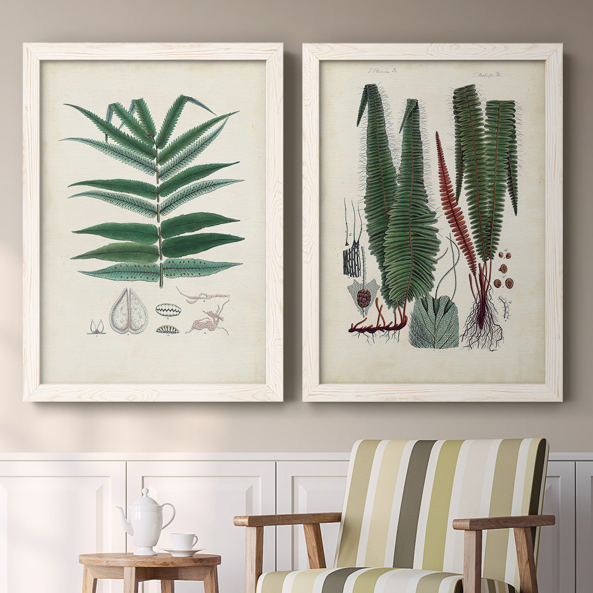 Set of two white barnwood framed canvas prints depicting two natural-history fern plates featuring vintage fern specimens with botanical details above a sideboard in a cozy sitting room.