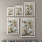 Poinsettia Study I - Barnwood Framed Canvas Set