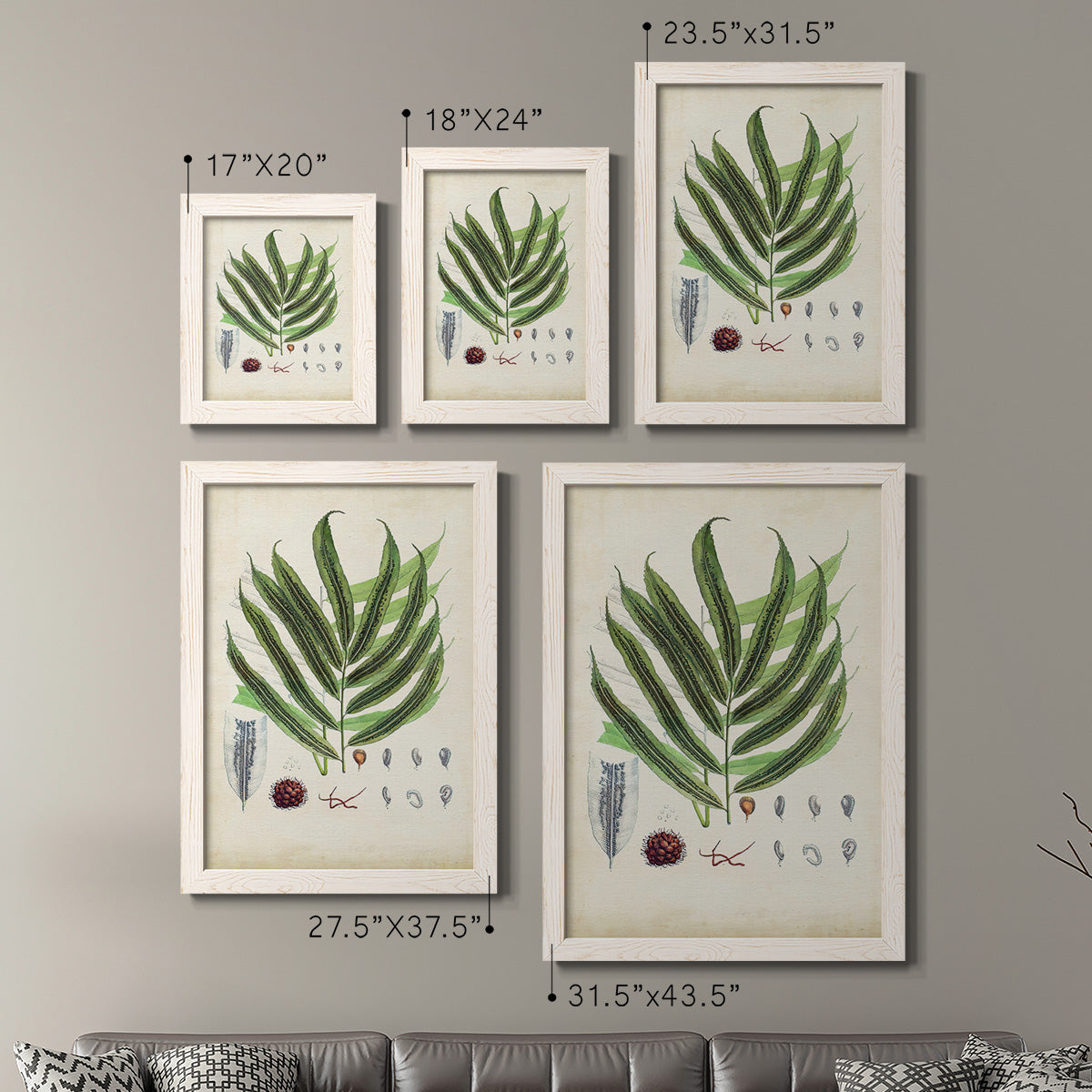 Size comparison chart for a set of two white barnwood framed canvas prints.