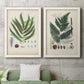 Set of two white barnwood framed canvas prints depicting a coordinated art pair of vintage fern specimens with botanical details rendered as natural-history fern plates above a sofa in a modern living room.