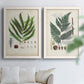 Set of two white barnwood framed canvas prints depicting varied green fronds, roots, spores, and archival labels arranged across two complementary compositions above a sofa in a bright living space.