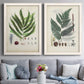 Set of two white barnwood framed canvas prints depicting paired natural-history fern plates with varied green fronds, roots, spores, and archival labels above a sofa in a contemporary living room.