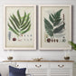 Set of two white barnwood framed canvas prints depicting a coordinated art pair of vintage fern specimens with botanical details rendered as natural-history fern plates above a dining room sideboard.