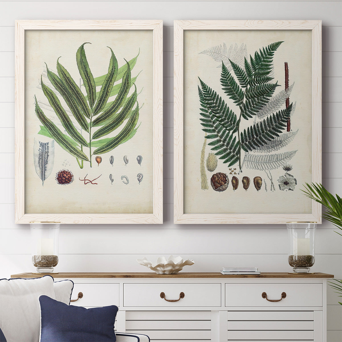 Set of two white barnwood framed canvas prints depicting a coordinated art pair of vintage fern specimens with botanical details rendered as natural-history fern plates above a dining room sideboard.