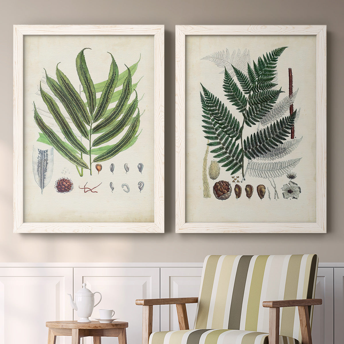 Set of two white barnwood framed canvas prints depicting two natural-history fern plates featuring vintage fern specimens with botanical details above a sideboard in a cozy sitting room.
