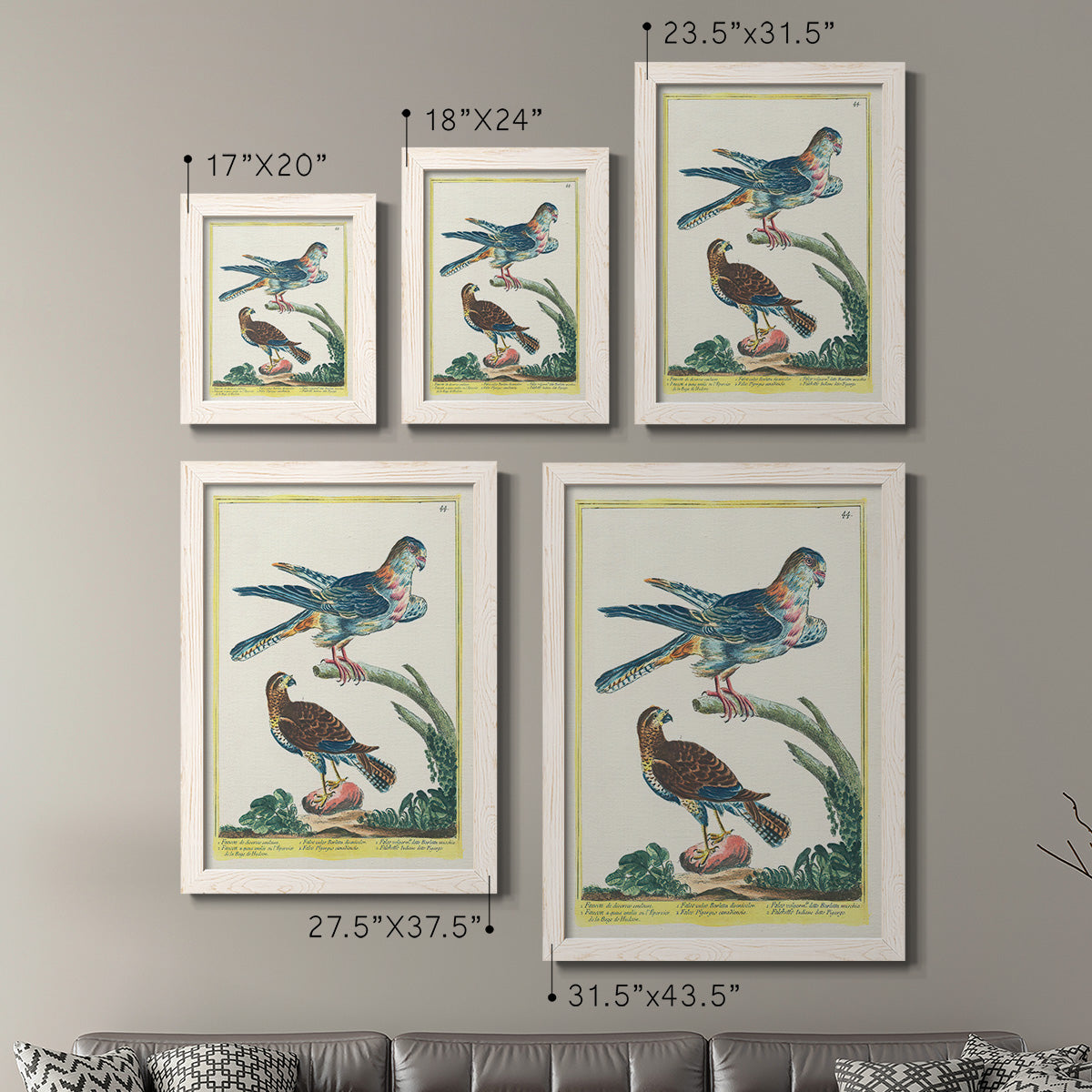 Size comparison chart for a set of two white barnwood framed canvas prints.