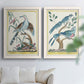 Set of two white barnwood framed canvas prints depicting long tails, detailed plumage, branches, and printed borders arranged across two complementary compositions above a sofa in a bright living space.