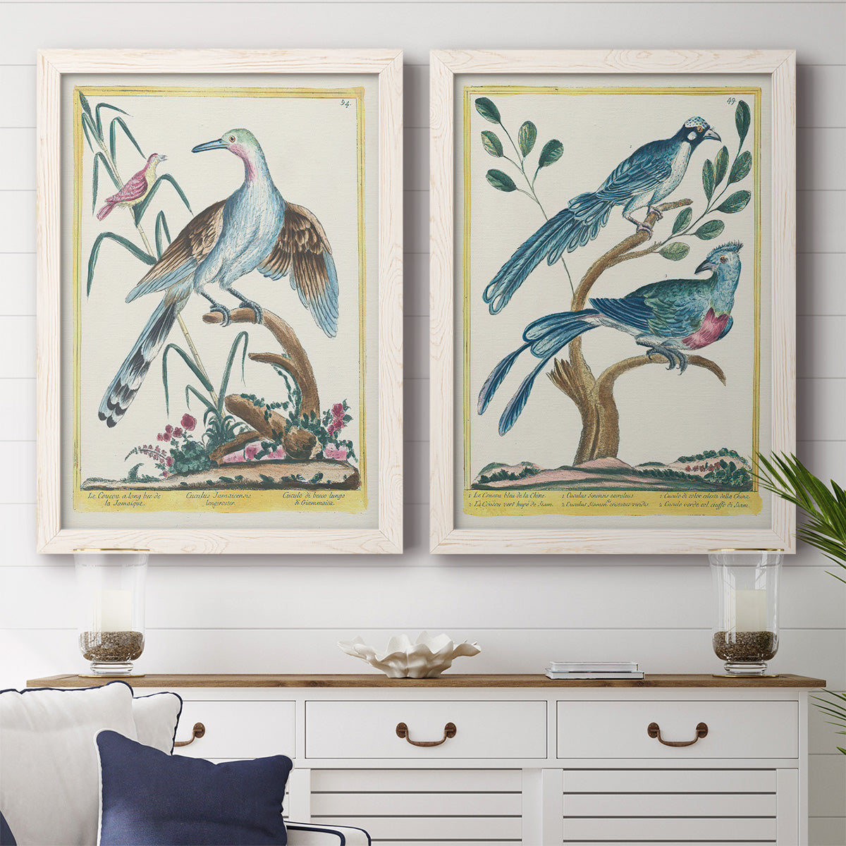 Set of two white barnwood framed canvas prints depicting a coordinated art pair of vintage exotic birds perched in landscape settings rendered as antique ornithological plate illustrations above a dining room sideboard.