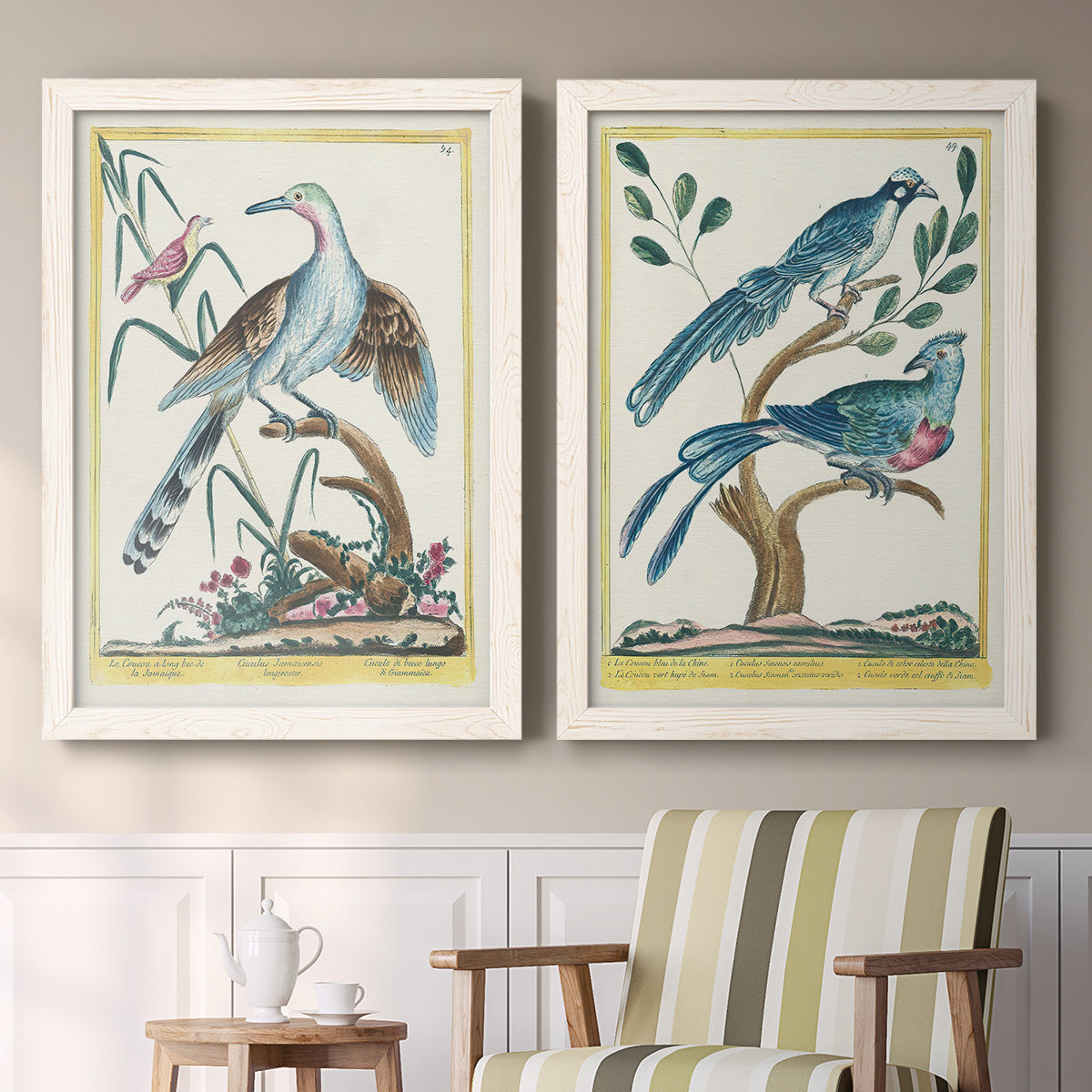 Set of two white barnwood framed canvas prints depicting two antique ornithological plate illustrations featuring vintage exotic birds perched in landscape settings above a sideboard in a cozy sitting room.