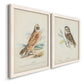 Angled view of a set of two white barnwood framed canvas prints featuring two antique bird plate illustrations featuring vintage owl specimens perched in natural settings.