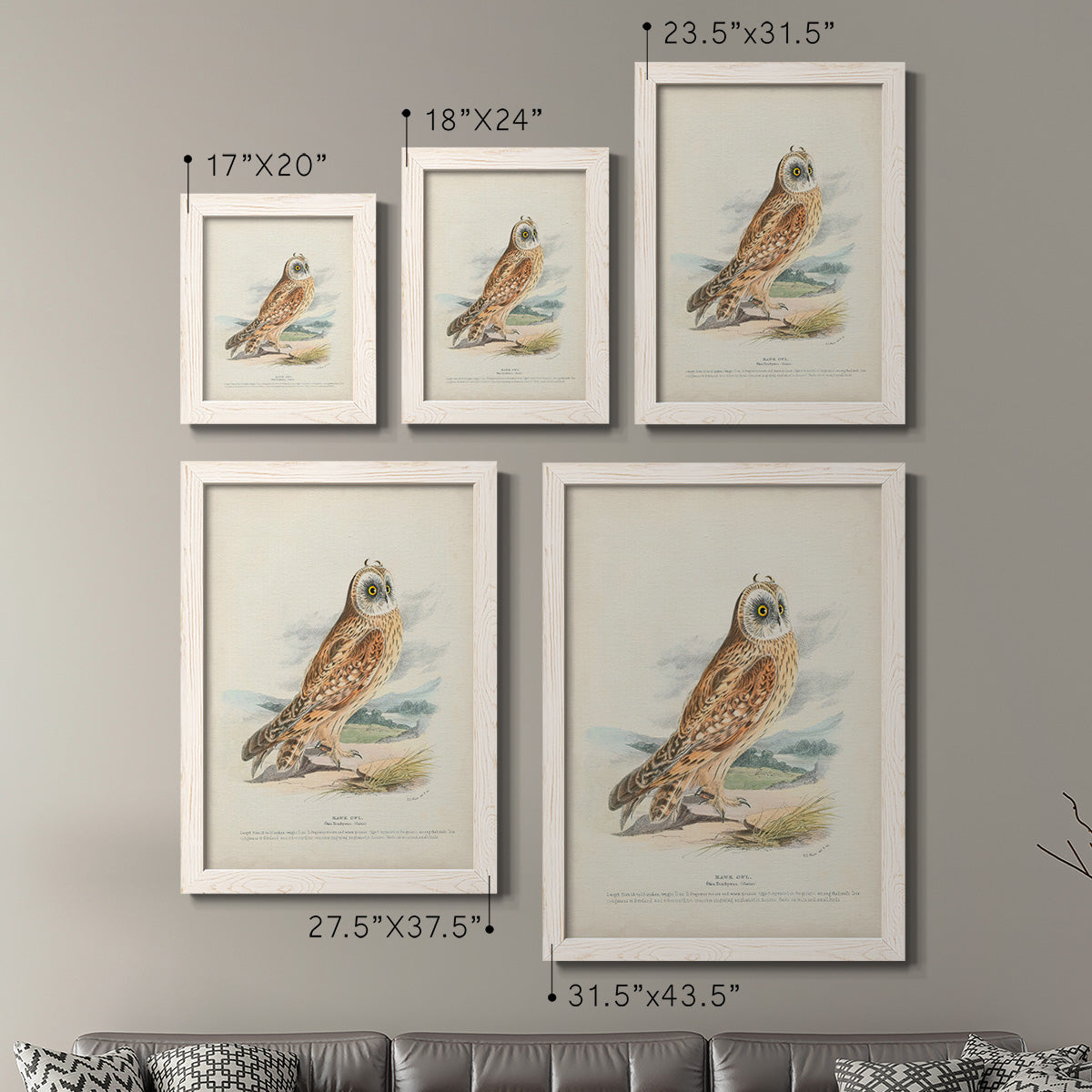 Size comparison chart for a set of two white barnwood framed canvas prints.