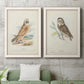 Set of two white barnwood framed canvas prints depicting a coordinated art pair of vintage owl specimens perched in natural settings rendered as antique bird plate illustrations above a sofa in a modern living room.