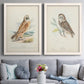 Set of two white barnwood framed canvas prints depicting paired antique bird plate illustrations with detailed feathers, branches, pale paper, and natural-history labels above a sofa in a contemporary living room.