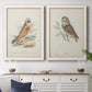 Set of two white barnwood framed canvas prints depicting a coordinated art pair of vintage owl specimens perched in natural settings rendered as antique bird plate illustrations above a dining room sideboard.