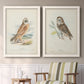Set of two white barnwood framed canvas prints depicting two antique bird plate illustrations featuring vintage owl specimens perched in natural settings above a sideboard in a cozy sitting room.
