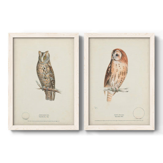 Set of two white barnwood framed canvas prints featuring two antique bird plate illustrations featuring vintage owl specimens perched in natural settings.